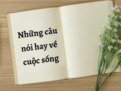 Stt hay về cuộc đời: Góc nhìn đa chiều cho năm 2026