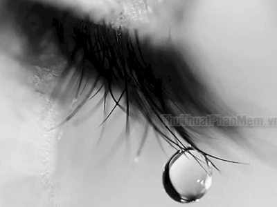 Tâm trạng phiêu lãng với avatar đen buồn dành cho phái nữ