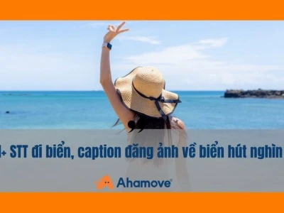 Thả Thính Biển Xanh: Tuyển Tập Status Hay Và Hài Hước Nhất 2026
