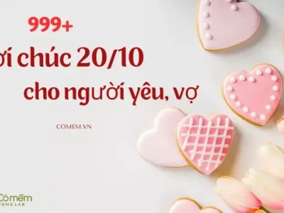 Tổng hợp stt chúc 20/10 ý nghĩa tôn vinh phái đẹp năm 2026