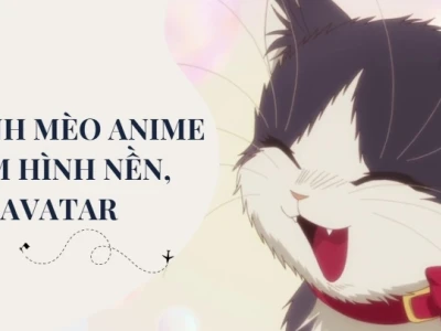 Top Hình ảnh Mèo Cute Anime: Tải Ngay Avatar và Hình Nền Độc Đáo