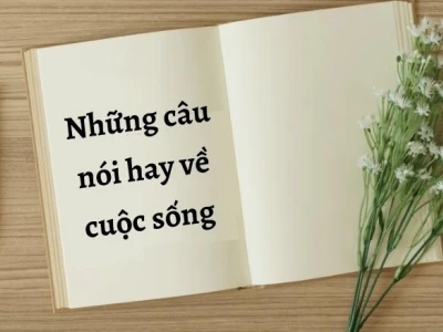 Tuyển Tập Châm Ngôn Cuộc Sống Chất: Những Lời Hay Ý Đẹp Vực Dậy Tinh Thần