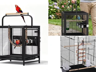 Comprehensive guide to choosing a portable bird cage for travel with small parrots